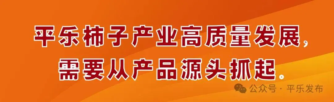 篮球集训中如何制定个人发展目标?_0
